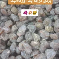 خشکبار رحیمی|خوردنی و آشامیدنی|رشت, پاره بیجار|دیوار