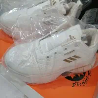 کفش مارک آدیداس|کیف، کفش، کمربند|نیشابور, دارایی|دیوار
