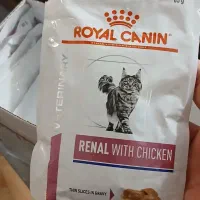 غذای گربه رویال کنین رنال