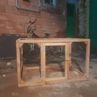 قفس بزرگ