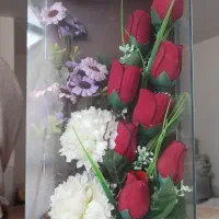 با کس گل نو قیمت ۳۰۰۰۰۰