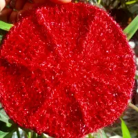 اسکاج و دستگیره|لوازم نظافت|اسلامآباد غرب, |دیوار