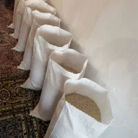 برنج صدری دم سیاه سوزنی کوچصفهان