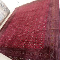 فرش دست باف با نقشی بی نظیر و ترند|فرش|بیرجند, |دیوار