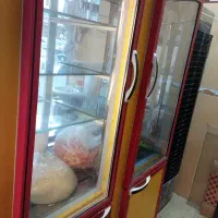 واگزاری مغازه مرغ فروشی|فروشگاه و مغازه|بانه, |دیوار