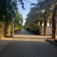 فروش باغ باغچه|فروش زمین و ملک کلنگی|دزفول, |دیوار
