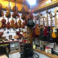 Violin