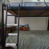 تخت دو طبقه چوبی  با تشک طبی|تخت و سرویس خواب|ری, جوانمرد قصاب|دیوار