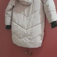 دوعدد کاپشن|لباس|رشت, نظری|دیوار