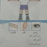 تدریس