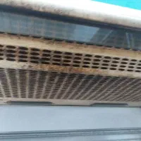 هود|هود|رودبنه, |دیوار