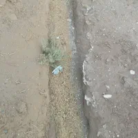 زمین دشتی|فروش زمین و ملک کلنگی|آران و بیدگل, |دیوار