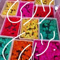 جوجه رنگی عمده