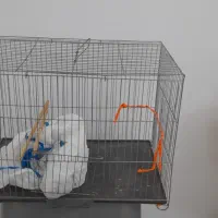 قفس سالم|لوازم جانبی حیوانات|بندر انزلی, آذربایجان|دیوار