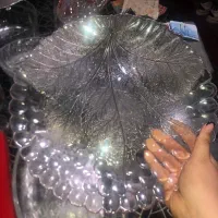 ظروف پذیرایی|ظروف سرو و پذیرایی|رشت, معلم|دیوار