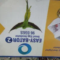 دستگاه جوجه کشی|حیوانات مزرعه|اسلام‌شهر, شهرک واوان|دیوار