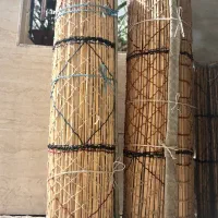 چیت