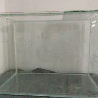 آکواریوم بزرگ و سالم|ماهی|پردیس, فاز ۱۱|دیوار