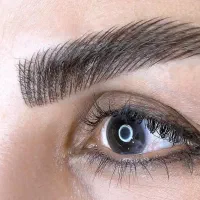 مدل رایگان ابرو به مدت محدود|خدمات آرایشگری و زیبایی|تهران, شهرک شریعتی|دیوار