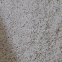 برنج طارم هاشمی|خوردنی و آشامیدنی|ساری, |دیوار