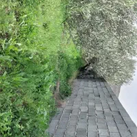 زمین محصور داخل طرح هرزویل