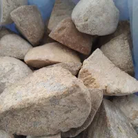 کشک گوسفندی