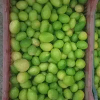 سبزی خردکنی، آبغوره گیری، آبلیموگیری|فروشگاه و مغازه|بابلسر, |دیوار