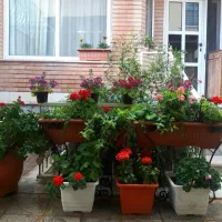 آپارتمان-100-متری-دو-خوابه-همکف-حیاط-مجزا-در-مطهری