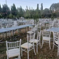 فروش تعدادی صندلی شیواری