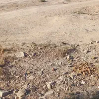 فروش فوری زمین در بوستان جوان