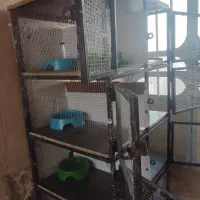 قفس جفتگا گنجه جفتی