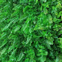 پخش چمن مصنوعی|گل مصنوعی|نجف‌آباد, حومه نجف آباد|دیوار