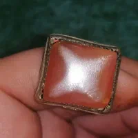 سکه های قدیمی|کلکسیون اشیاء عتیقه|قم, باغ شریفی|دیوار