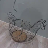 جا تخم مرغی. طرح مرغ