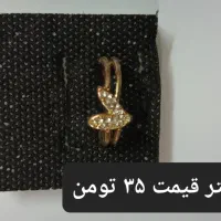 بدلیجات ۱۰۰ تومن|بدلیجات|اردبیل, |دیوار