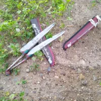 گوسفند قیچی میکنیم