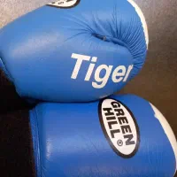 دستکش بوکس GREEN HILL