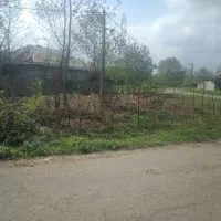 فروش زمین مالوان فومن|فروش زمین و ملک کلنگی|فومن, |دیوار