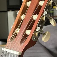 گیتار|گیتار، بیس، امپلیفایر|ساری, |دیوار