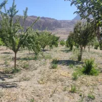 باغ 1600متری نقش رستم