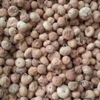 انجیر استهبان|خوردنی و آشامیدنی|شیراز, گل سرخ|دیوار