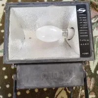 نور افکن