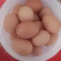 لوازم‌تصویری