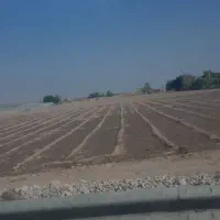 یک هکتار زمینی کشاورزی دوساری جنب جاده اصلی