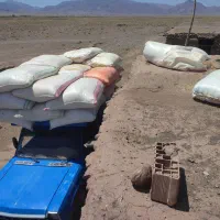 کاه گندم، یونجه، گندم و جو تحویلی