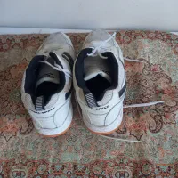 کفش والیبال اف ۴۴|ورزشهای توپی|قم, نیروگاه|دیوار