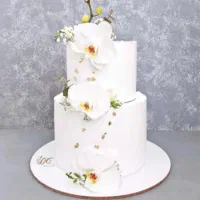 سفارش انواع کیک خانگی|خوردنی و آشامیدنی|سیلوانه, |دیوار