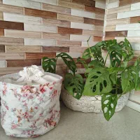 کیف سبزی یا میوه|ظروف نگهدارنده، پلاستیکی، یکبارمصرف|گلبهار, شهر جدید گلبهار|دیوار