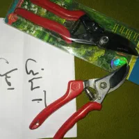 قیچی باغبانی|ابزارآلات|گلبهار, شهر جدید گلبهار|دیوار