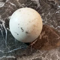 سنگ آسیاب|کلکسیون اشیاء عتیقه|زنجان, |دیوار